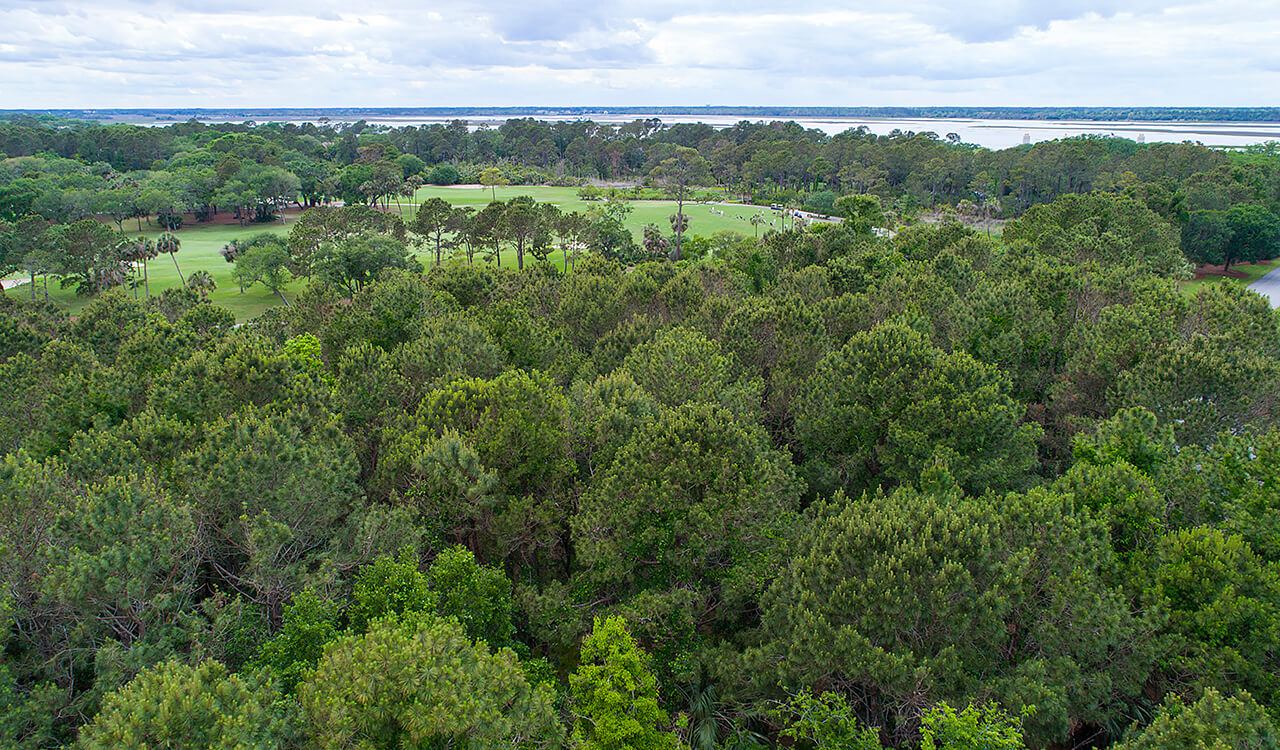 28 Green Meadow Ln Kiawah Island Real Estate